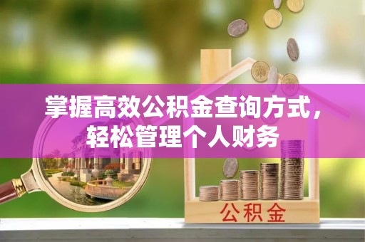 六枝掌握高效公积金查询方式，轻松管理个人财务