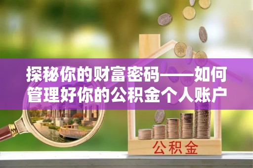 六枝探秘你的财富密码——如何管理好你的公积金个人账户信息