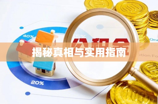 六枝揭秘真相与实用指南