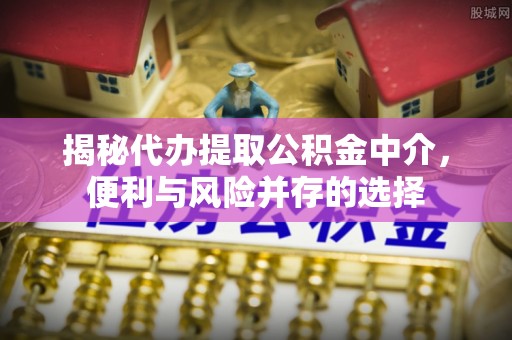 六枝揭秘代办提取公积金中介，便利与风险并存的选择