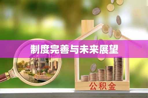 六枝制度完善与未来展望