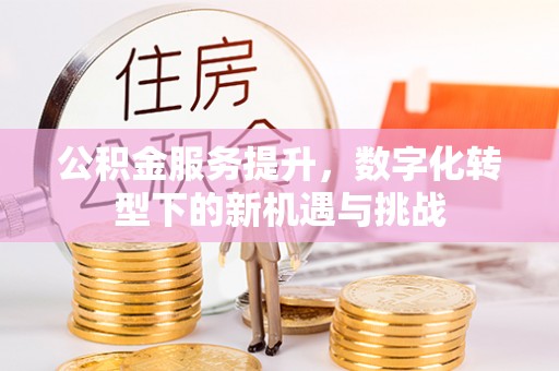 六枝公积金服务提升，数字化转型下的新机遇与挑战