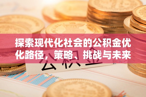 六枝探索现代化社会的公积金优化路径，策略、挑战与未来展望