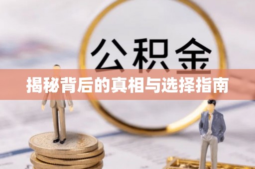 六枝揭秘背后的真相与选择指南