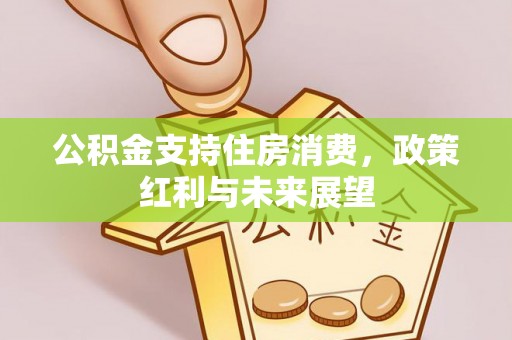 六枝公积金支持住房消费，政策红利与未来展望