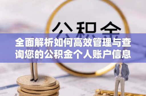 六枝全面解析如何高效管理与查询您的公积金个人账户信息