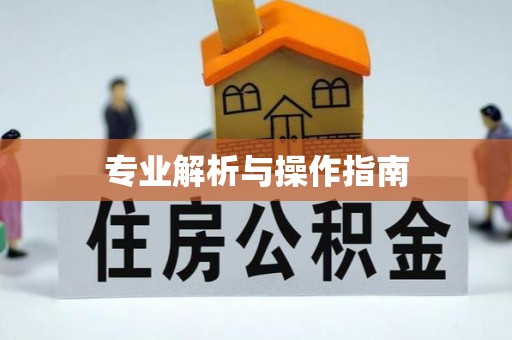 六枝专业解析与操作指南