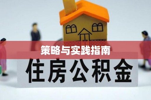 六枝策略与实践指南