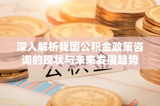 六枝深入解析我国公积金政策咨询的现状与未来发展趋势