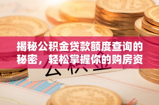 六枝揭秘公积金贷款额度查询的秘密，轻松掌握你的购房资金