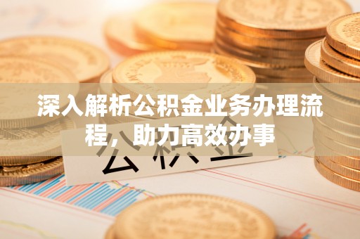 六枝深入解析公积金业务办理流程，助力高效办事