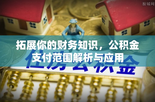 六枝拓展你的财务知识，公积金支付范围解析与应用