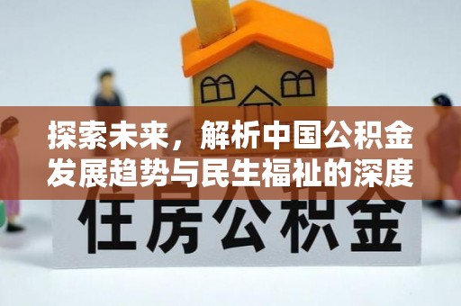 六枝探索未来，解析中国公积金发展趋势与民生福祉的深度融合