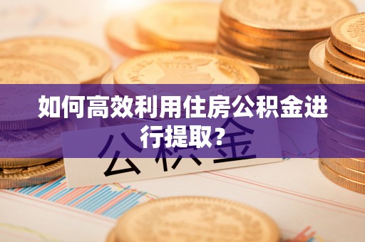 六枝如何高效利用住房公积金进行提取？