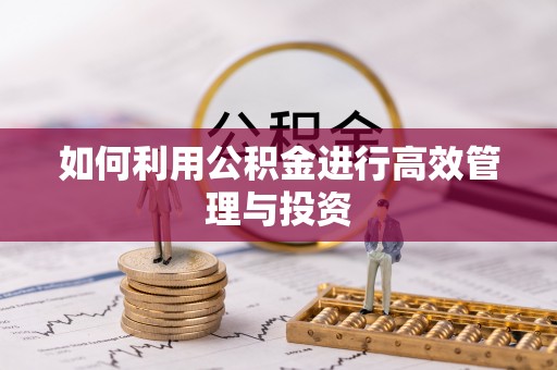 六枝如何利用公积金进行高效管理与投资
