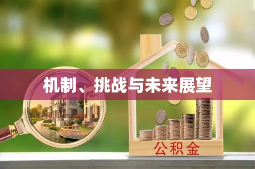 六枝机制、挑战与未来展望