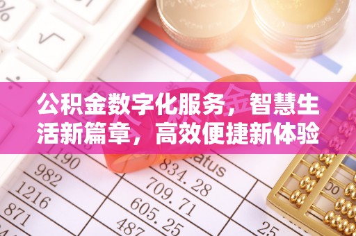 六枝公积金数字化服务，智慧生活新篇章，高效便捷新体验