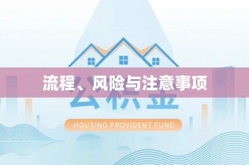 六枝流程、风险与注意事项